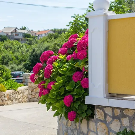 Apartment Ani Veli Losinj