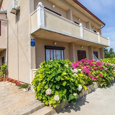 Apartament Ani