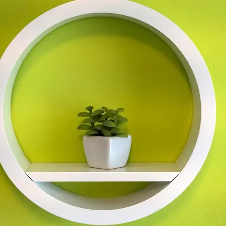 Ani Apartament *