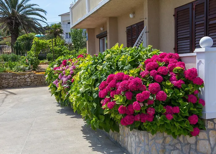 Ani Veli Losinj