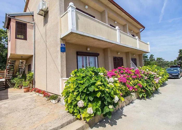 Apartman Ani